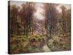 Stretched Canvas Print