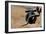 Garter Snake  Slithers Across Fly Fishing Gear-Liam Doran-Framed Photographic Print