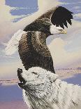Eagle in Flight with Wolf-Gary Ampel-Art Print