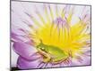 Premium Photographic Print