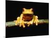 Premium Photographic Print