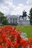White House from Lafayette Park-Gary Blakeley-Photographic Print