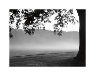Fog in the Park II-Gary Bydlo-Framed Giclee Print