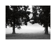 Fog in the Park I-Gary Bydlo-Stretched Canvas