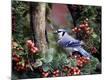 Premium Photographic Print