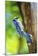 Premium Photographic Print