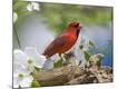 Premium Photographic Print