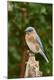 Premium Photographic Print