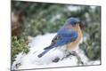Premium Photographic Print