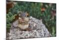 Premium Photographic Print
