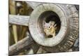 Premium Photographic Print