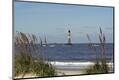 Premium Photographic Print
