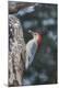 Photographic Print