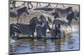 Photographic Print