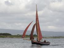 Galway Hookers at Roundstone Regatta, Connemara, County Galway, Connacht, Republic of Ireland-Gary Cook-Photographic Print