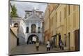 Photographic Print
