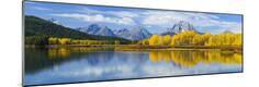 Premium Photographic Print