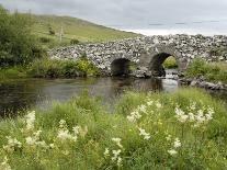 Quiet Man Bridge, Near Maam Cross, Connemara, County Galway, Connacht, Republic of Ireland-Gary Cook-Photographic Print