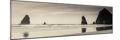 Premium Photographic Print