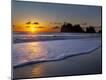 Photographic Print