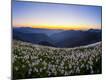 Photographic Print