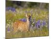 Premium Photographic Print