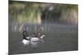 Premium Photographic Print