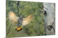 Premium Photographic Print