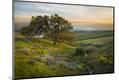 Premium Photographic Print
