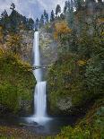 Multnomah Falls, Columbia Gorge, Oregon, USA-Gary Luhm-Photographic Print