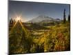 Photographic Print