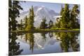Premium Photographic Print