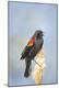 Premium Photographic Print