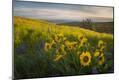Photographic Print