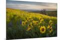 Photographic Print