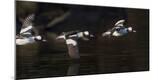 Premium Photographic Print