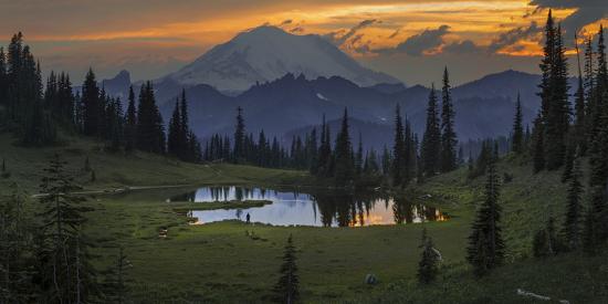 Photographic Print, , large