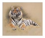 Tiger-Gary Stinton-Framed Collectable Print