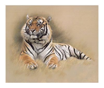 Bengal Tiger, Sean Bollar Lithograph, Signed in Pencil