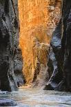 Virgin River Narrows, Zion National Park, Utah, United States of America, North America-Gary-Mounted Photographic Print