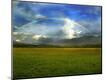 Photographic Print