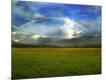 Photographic Print