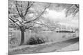 Premium Photographic Print