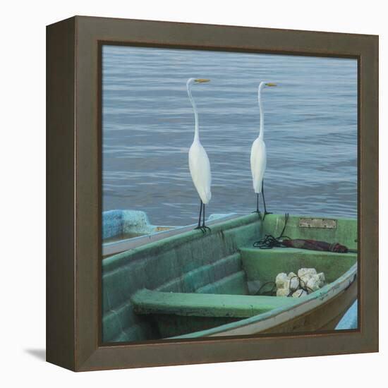 Garzas-4-2-Moises Levy-Framed Stretched Canvas