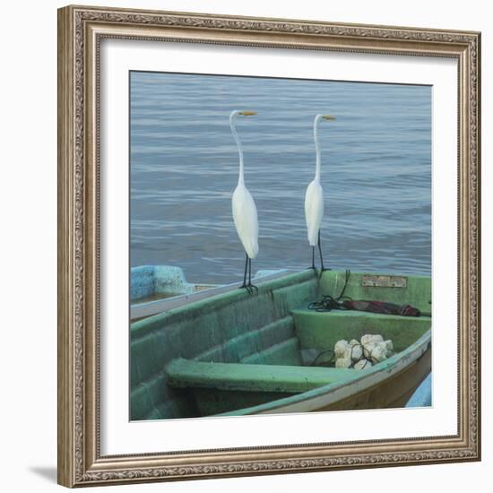 Garzas-4-2-Moises Levy-Framed Photographic Print