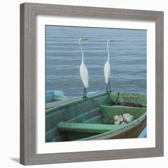 Garzas-4-2-Moises Levy-Framed Photographic Print