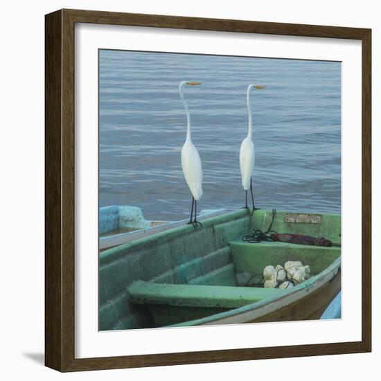 Garzas-4-2-Moises Levy-Framed Photographic Print