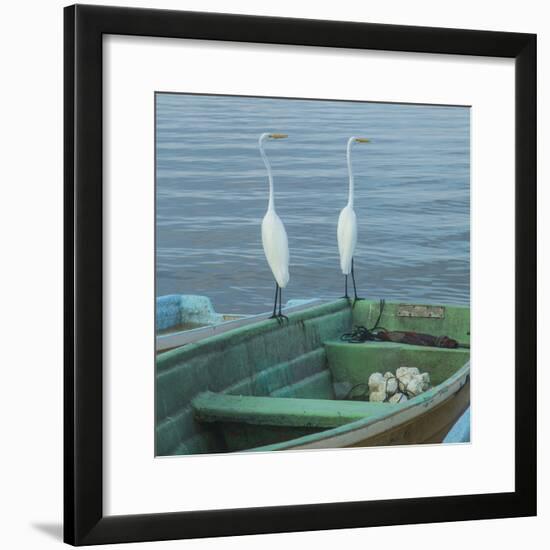 Garzas-4-2-Moises Levy-Framed Photographic Print