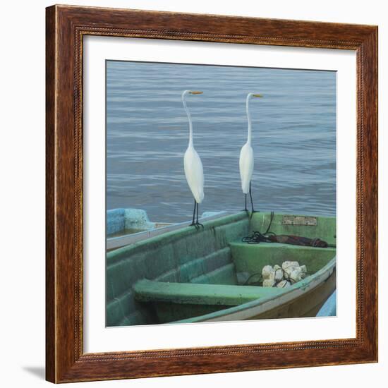 Garzas-4-2-Moises Levy-Framed Photographic Print