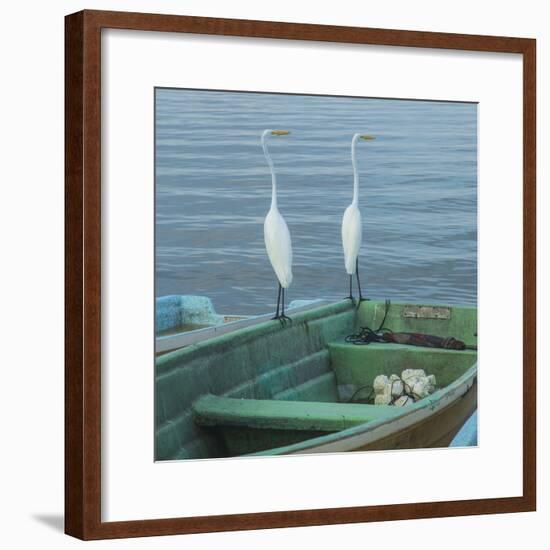 Garzas-4-2-Moises Levy-Framed Photographic Print